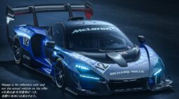 McLaren Senna GTR -Brand New-