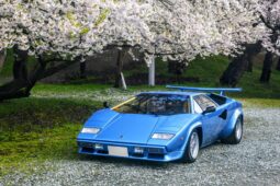 Lamborghini Countach LP5000S