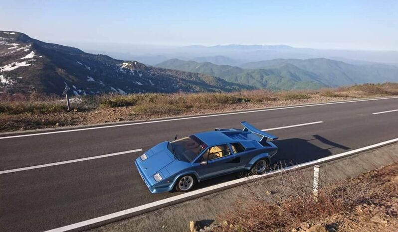 Lamborghini Countach LP5000S full