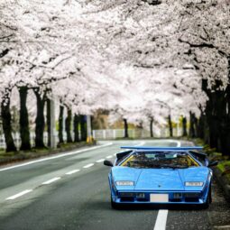 Lamborghini Countach LP5000S full