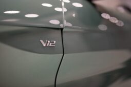 Aston Martin V12 Vantage Roadster full