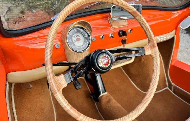 Jolly Spiaggina Tribute Fiat 500 & Electric full
