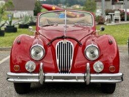 Jaguar XK 140 SE Drophead Coupé full